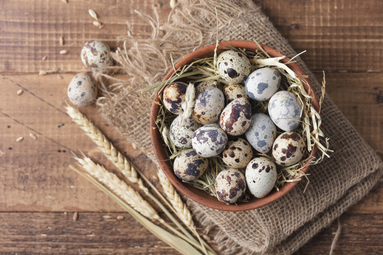 Пензенцам рассказали, как будут снижаться цены на яйца